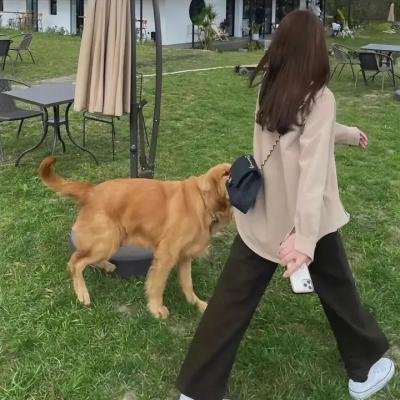 血色癫狂